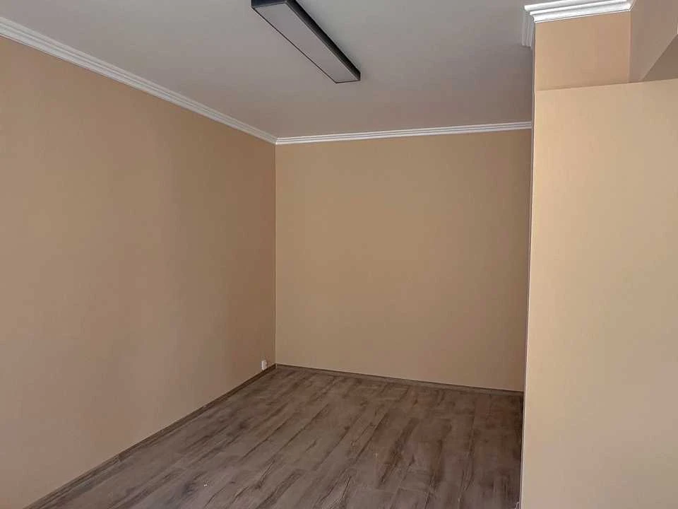 Apartment. Shkilna St.
