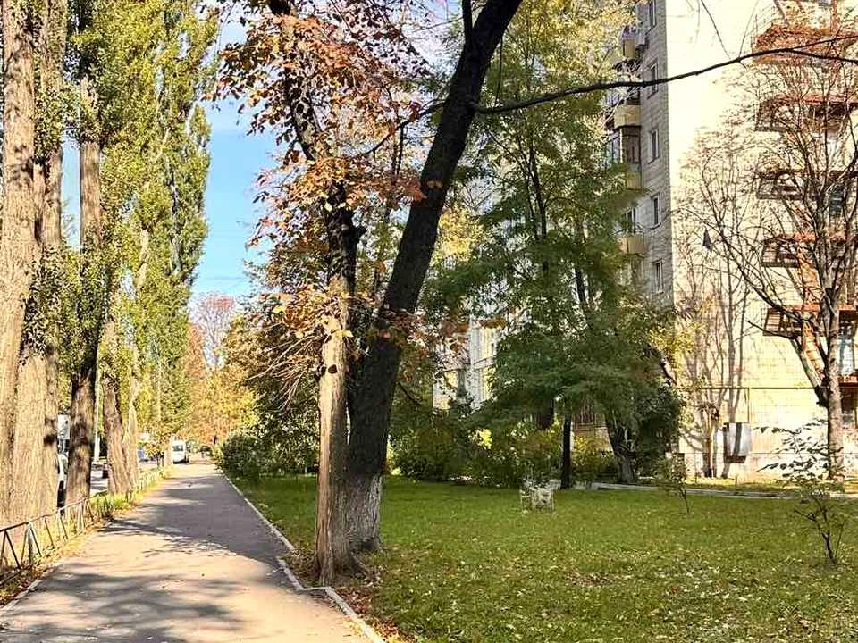 Apartment. Chystaykivska st.