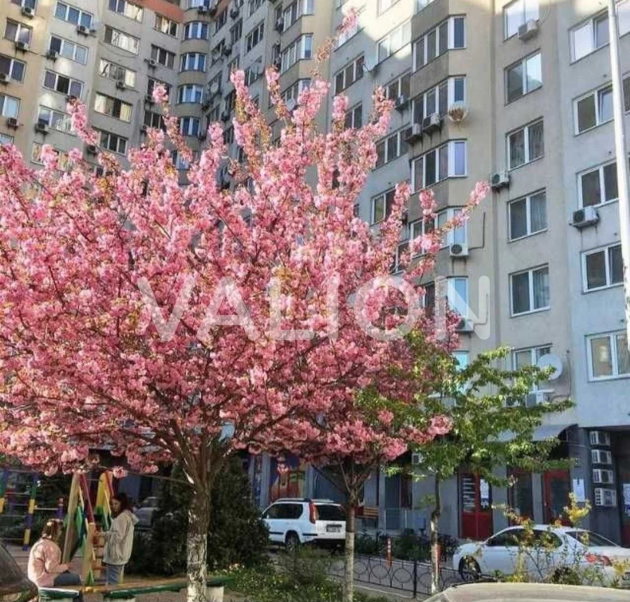 For Sale 3-room apartment, Vasyl Kasiyana Street, 2/1, Holosiiv.