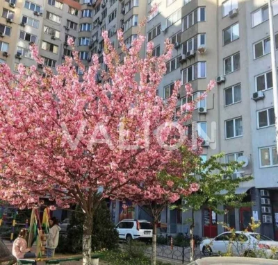 For Sale 3-room apartment, Vasyl Kasiyana Street, 2/1, Holosiiv.