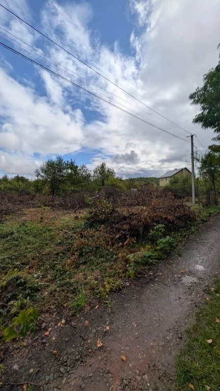 Land plot Demian Laz near the forest