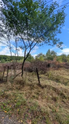 Земельна ділянка Демянів Лаз біля лісу