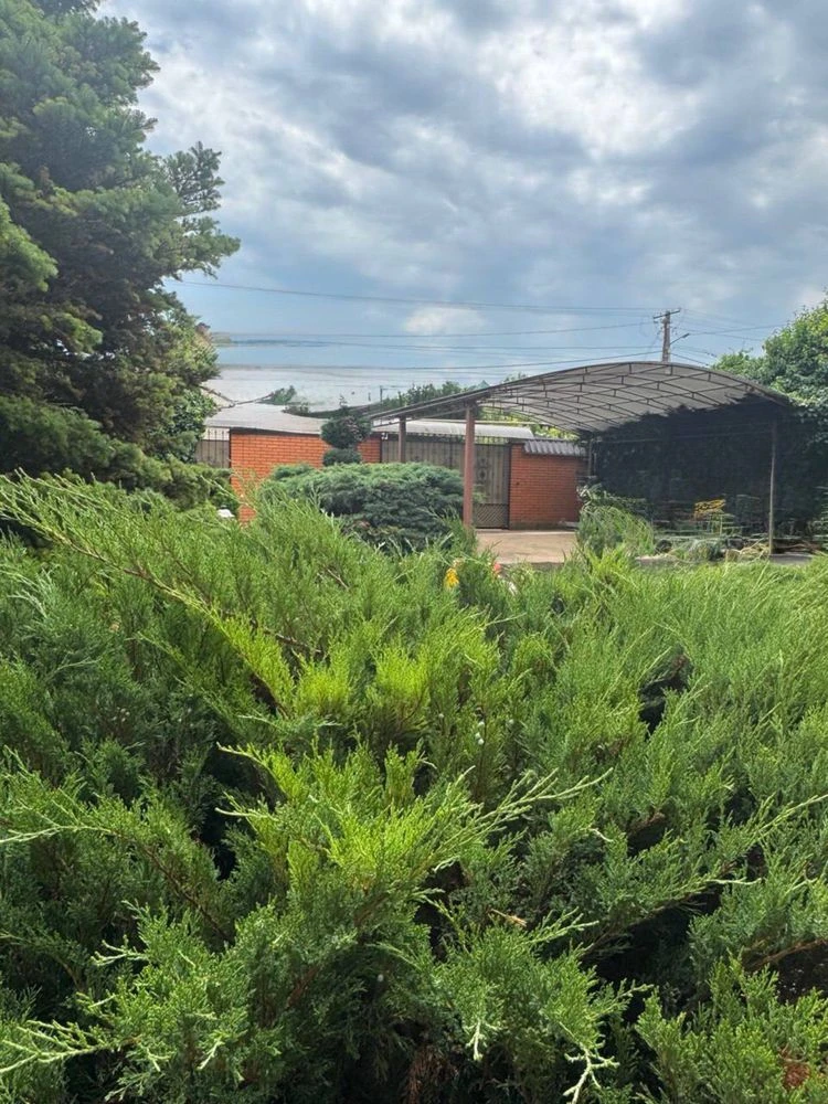For sale, a large house with renovation