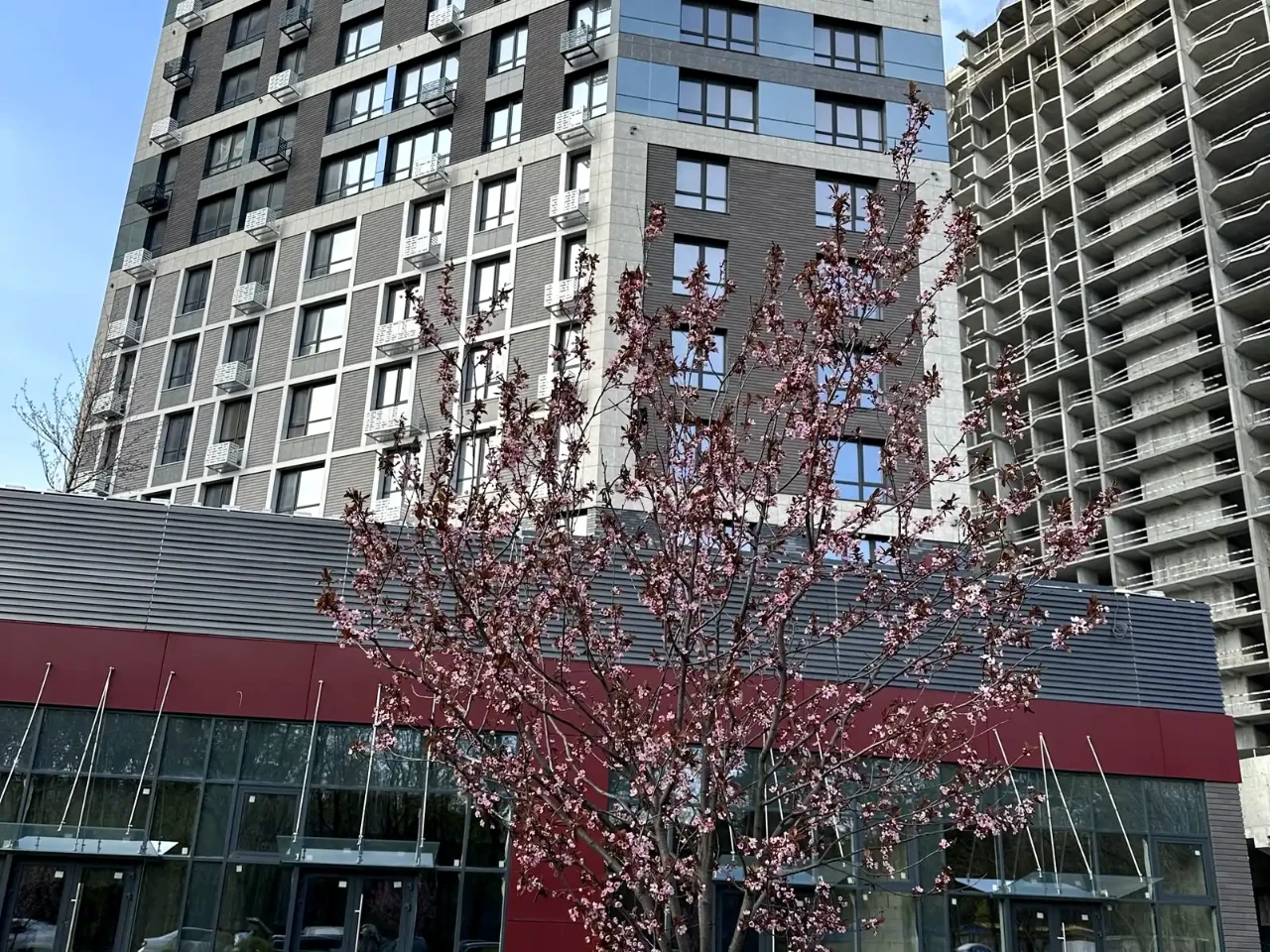 Rent 1-bedroom apartment 46.2 m² on the 8th floor
