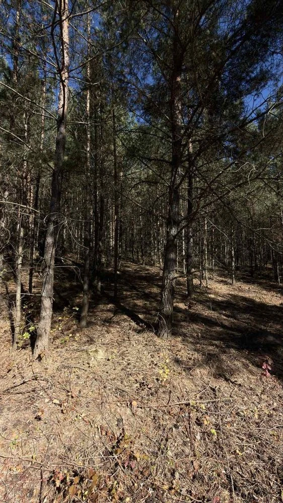 Land plot