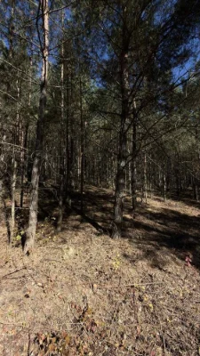 Land plot