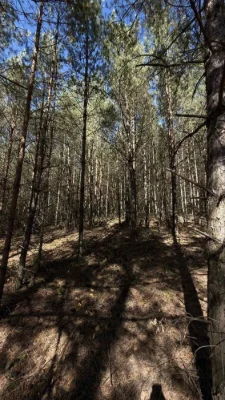 Land plot