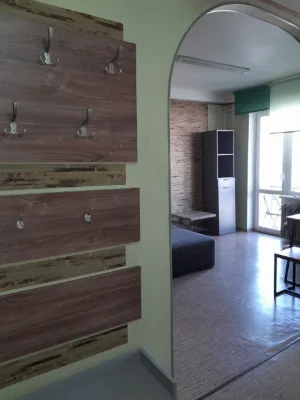 Rent 1-bedroom apartment 29 sq m, Maryia Pryimachchenko Blvd., 4