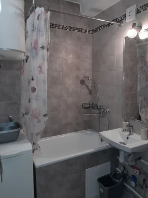 Rent 1-bedroom apartment 29 sq m, Maryia Pryimachchenko Blvd., 4