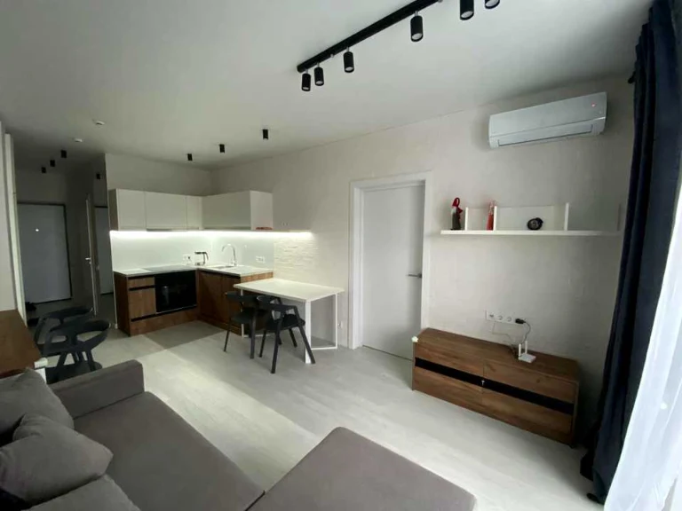 Apartment. Vasylkivska Street, Kyiv