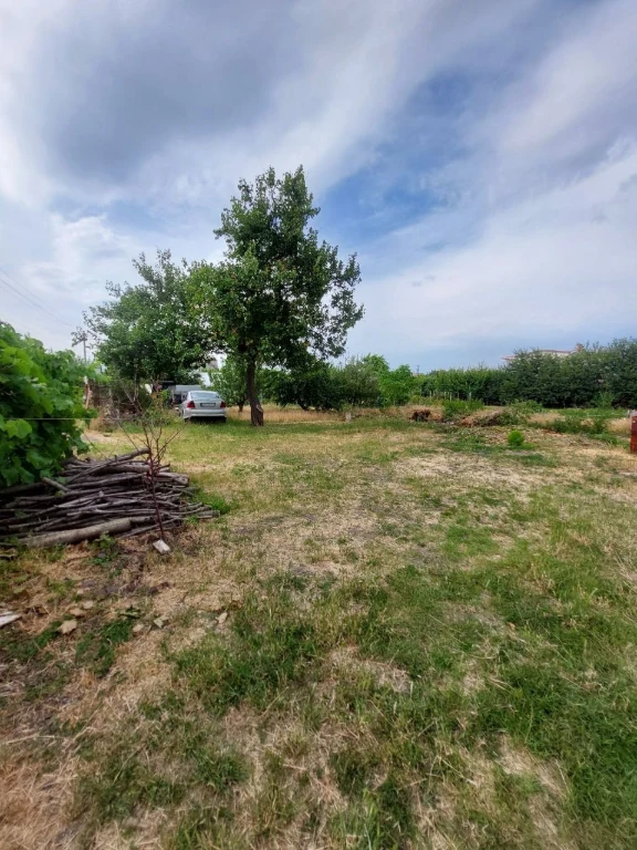Land plot Solovinyaya Rosh 6 acres.