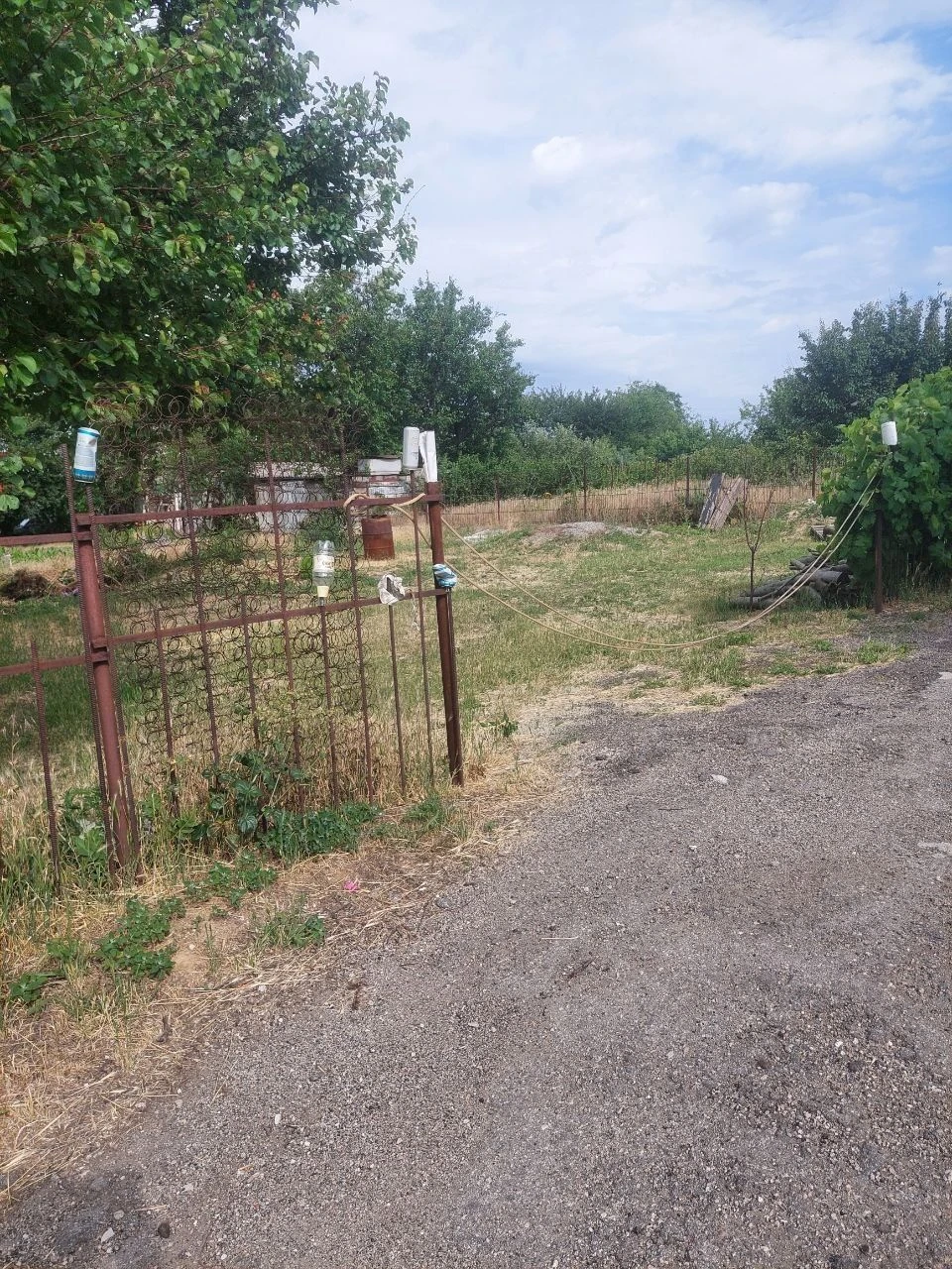 Ділянка 6 соток у Соловінній рощі.