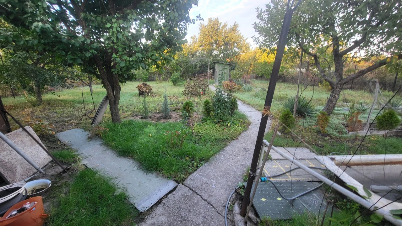 House, Green Yard.