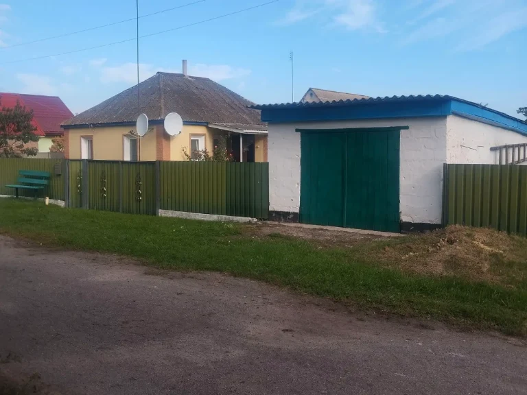 Продаж будинку 2500 м² 25 сот.
