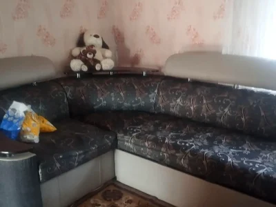 Продаж будинку 2500 м² 25 сот.