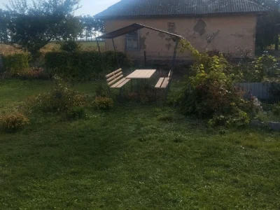 Продаж будинку 2500 м² 25 сот.
