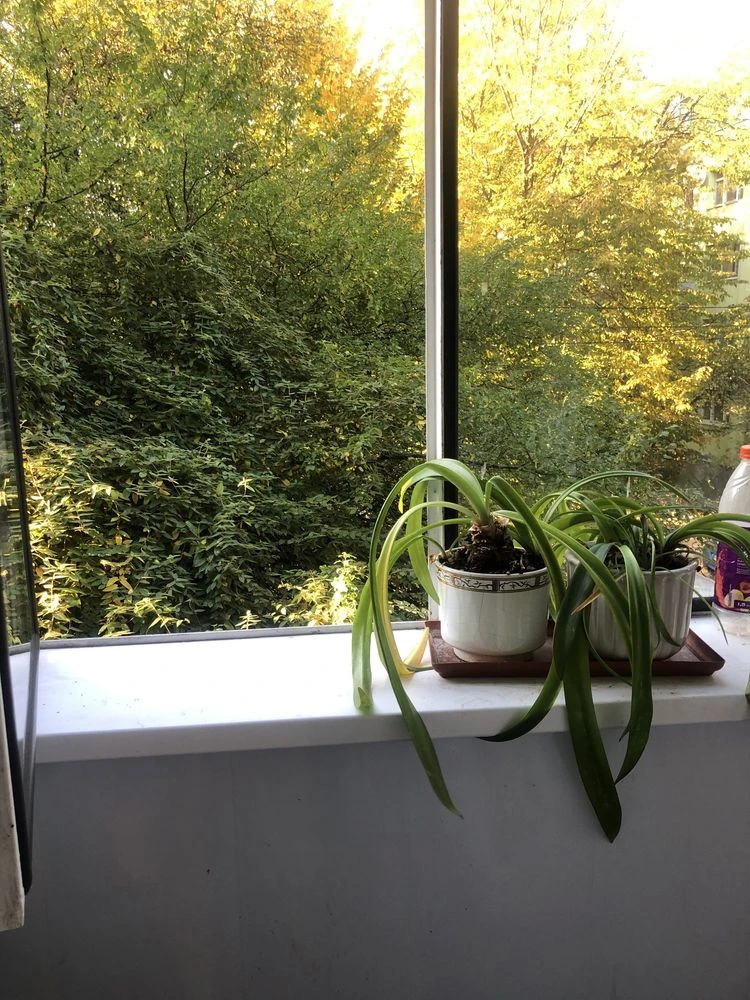Sale of a 3-room apartment on Kulchitskoi Street!