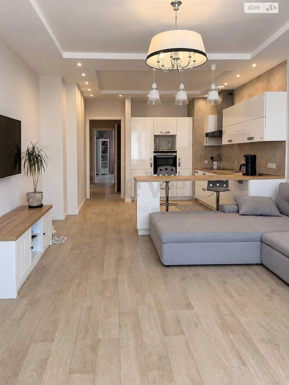 Apartment for Sale, Holosiiv