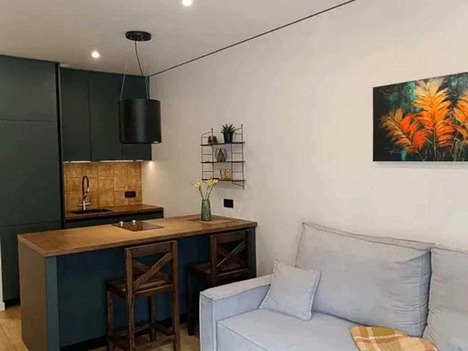 Apartment. Vsevoloda Zmiienka st.