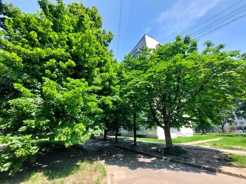 Квартира. Киев, улица Василя Касьяна