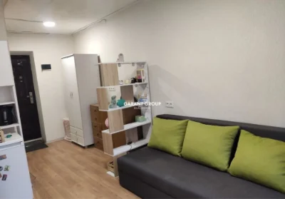 One-bedroom apartment with renovation