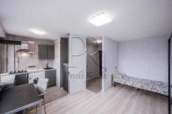 1-room apartment for sale 23 m², Rybalska St., 3