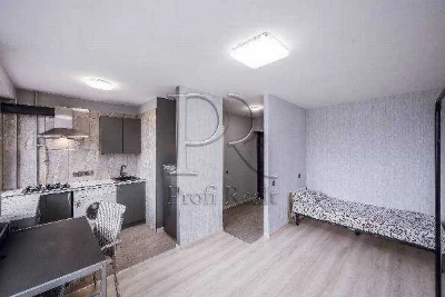 1-room apartment for sale 23 m², Rybalska St., 3