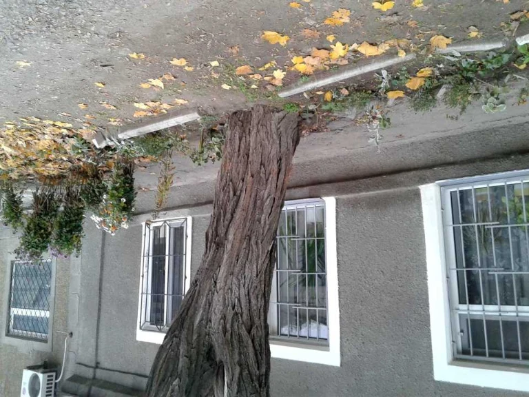 House. Pavlo Klepatsky Street, Odessa