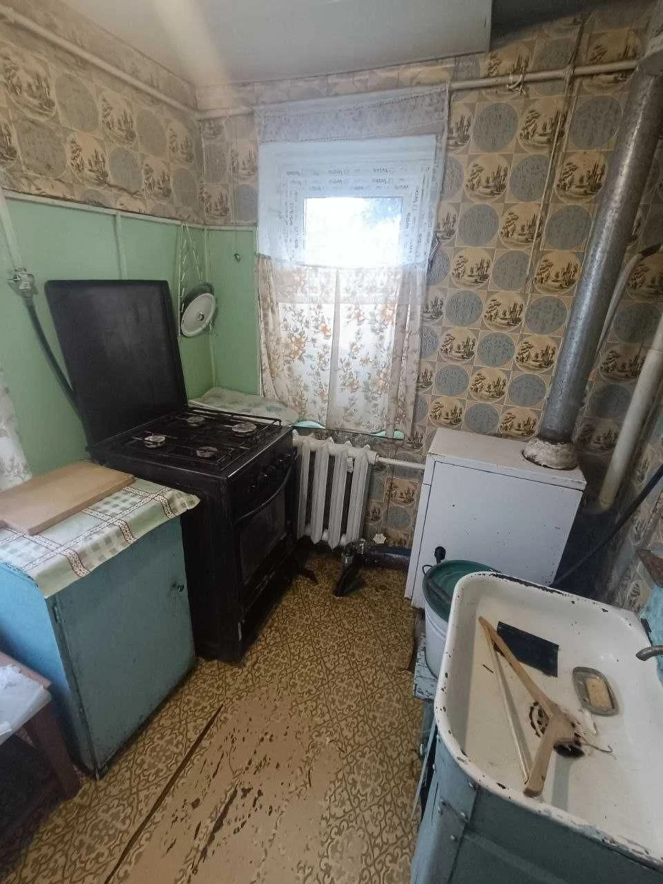 Продається будинок Велика Данилівка