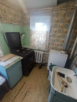 Продається будинок Велика Данилівка