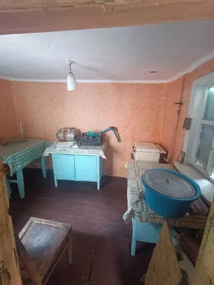 Продається будинок Велика Данилівка