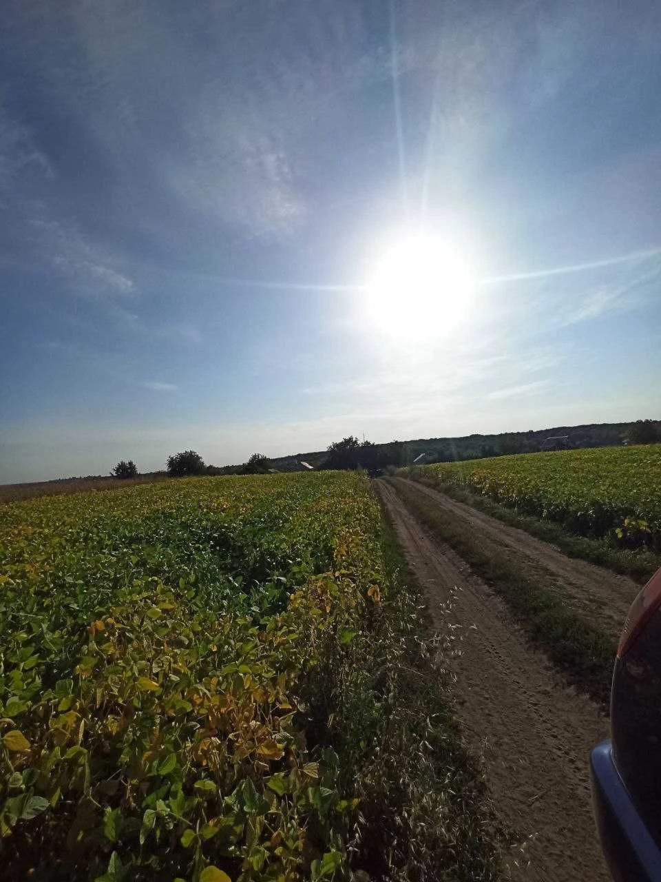Продам земельну ділянку під забудову. Велика Березовиця