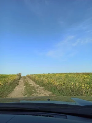 Продам земельну ділянку під забудову. Велика Березовиця