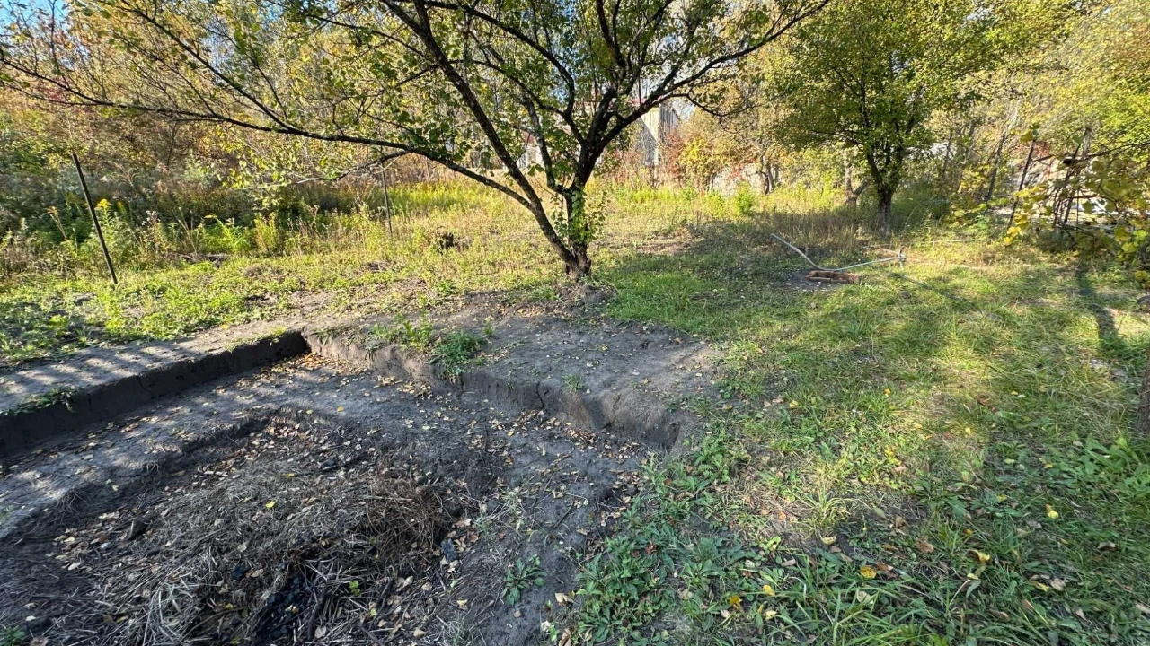 Country house near the forest, village of Izhakivka, 12 acres, with a good house WITHOUT