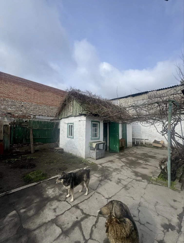Продам будинок на Амурі | Берегова | Лівий берег