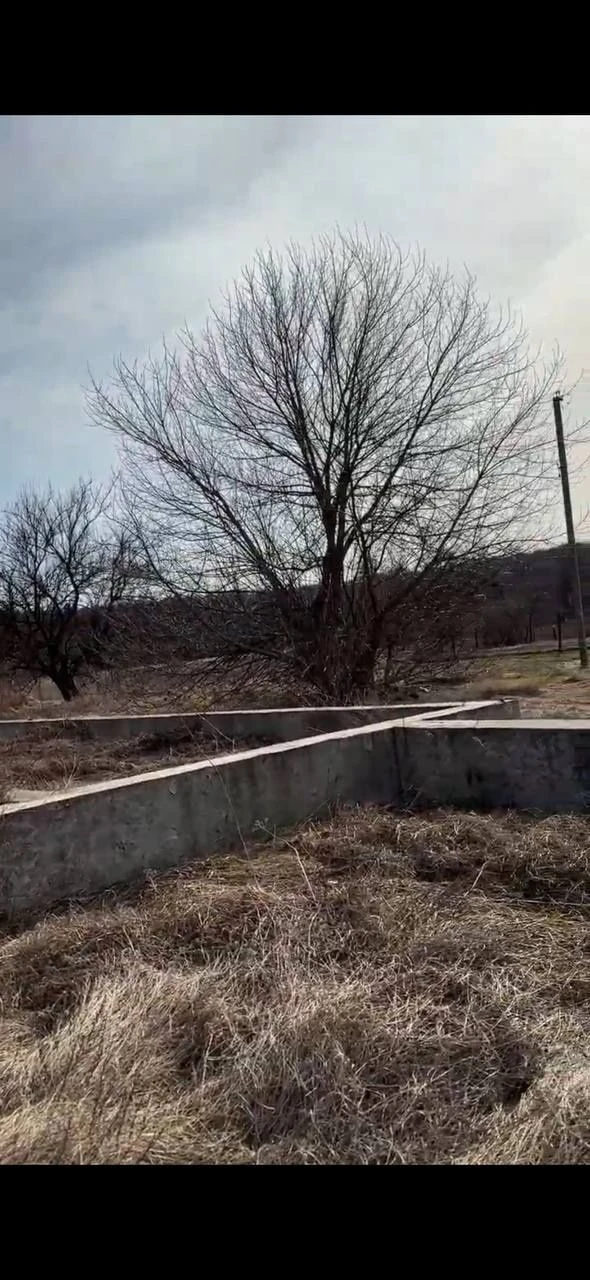 Land for sale, privatized, near Poltava