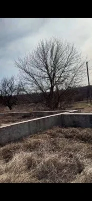 Land for sale, privatized, near Poltava
