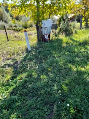 Продається земельна ділянка  ОСГ в селі Холодновідка поблизу