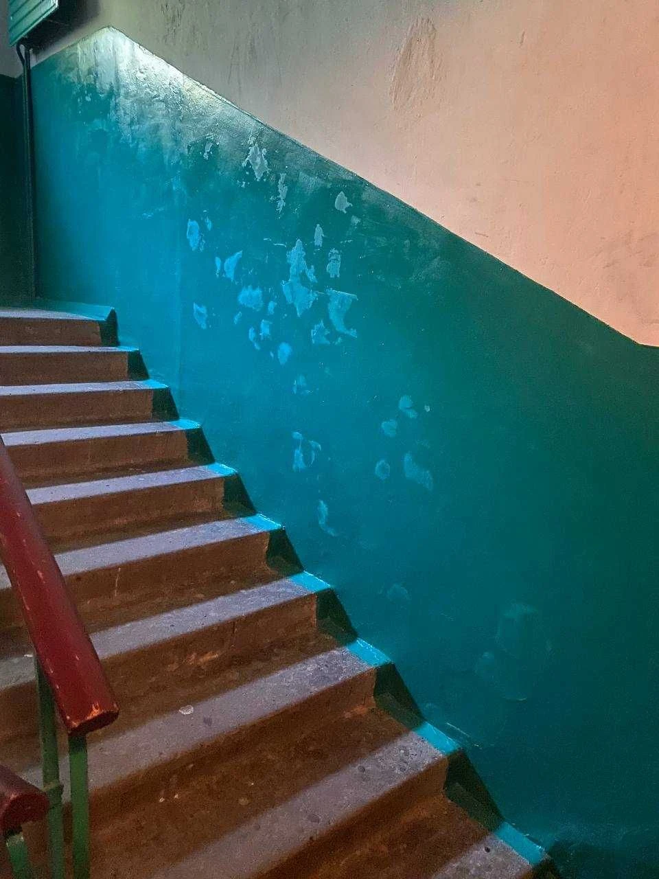 4 room apartment in the basement