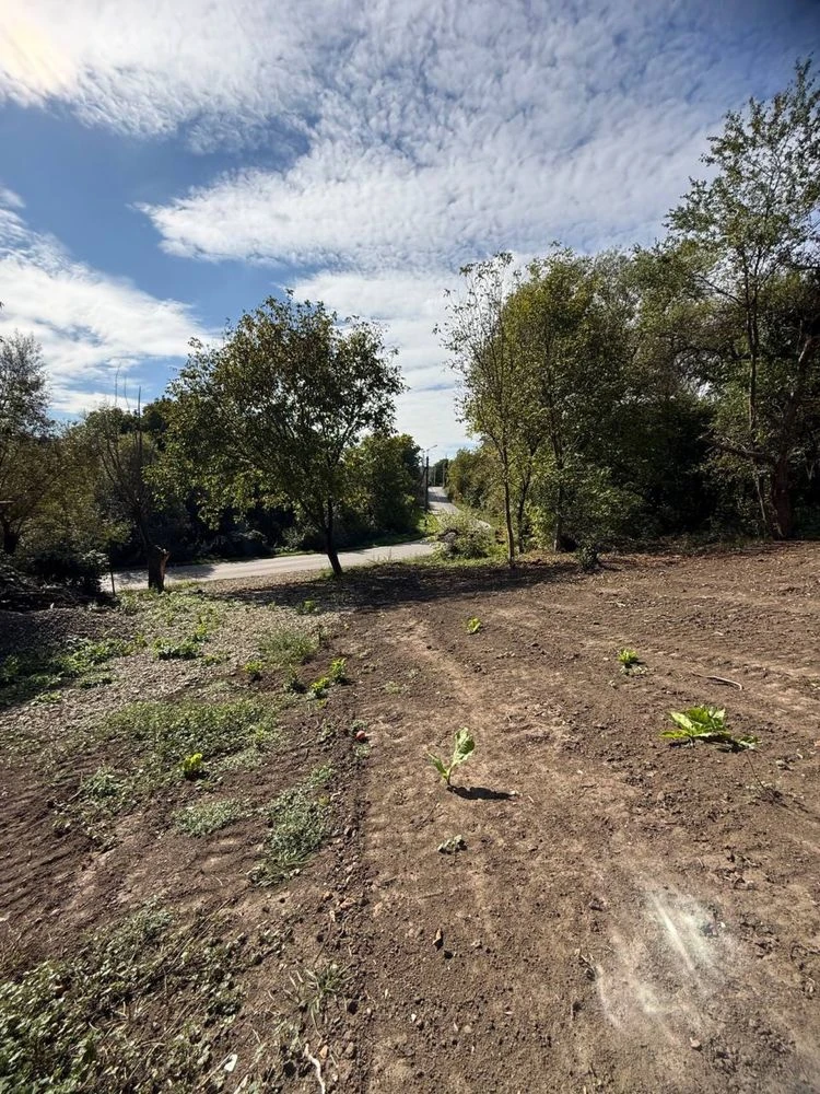 Sale of land plot, on Vyzhnitska Street