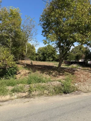 Sale of land plot, on Vyzhnitska Street