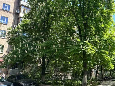 Квартира. Київ, Микільсько-Ботанічна вул.