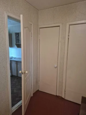 Продам 1 ком. квартиру пр. Добровольского