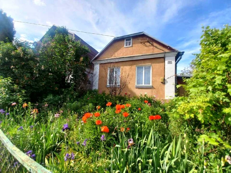 House. Novydvirska Street, Riven
