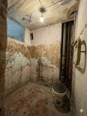 1-room apartment in Panorama Shopping Mall area / Kyiv district
