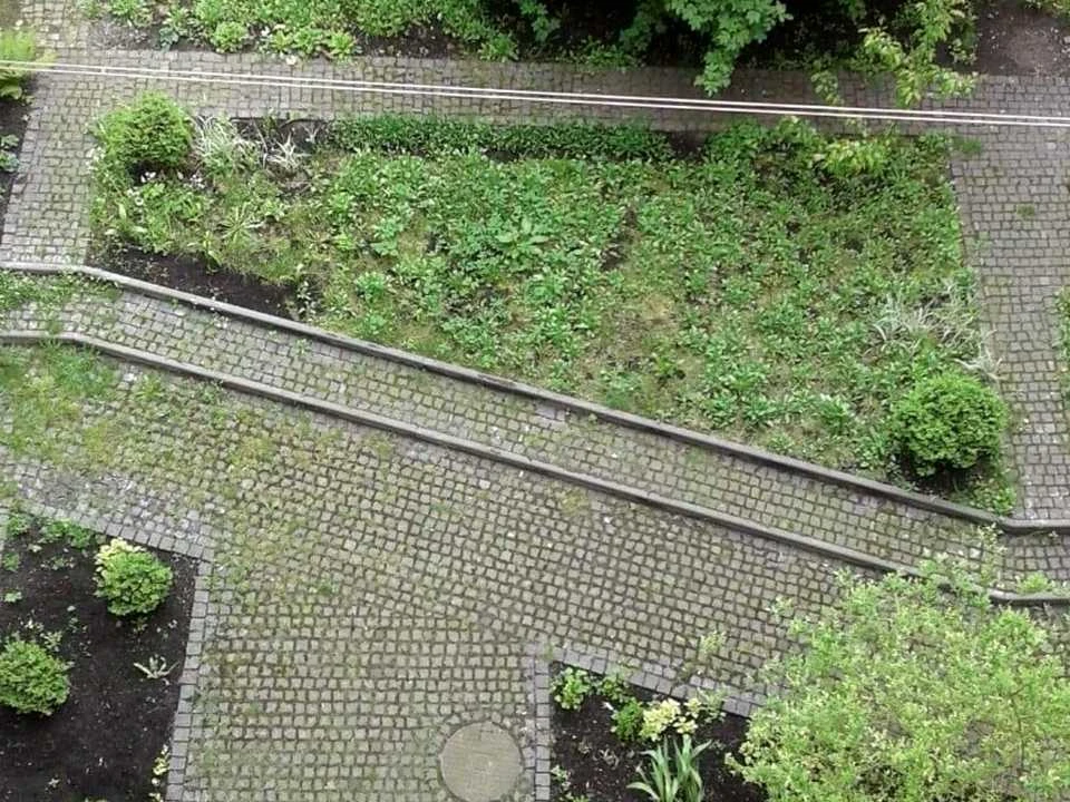 Квартира. Львів, Ференца Ліста, вул.