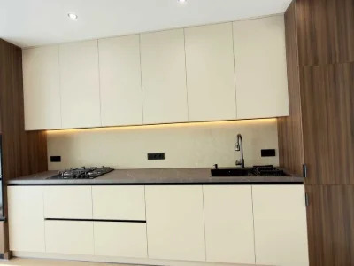 Apartment. Ivano-Frankivsk, Knyzhyn
