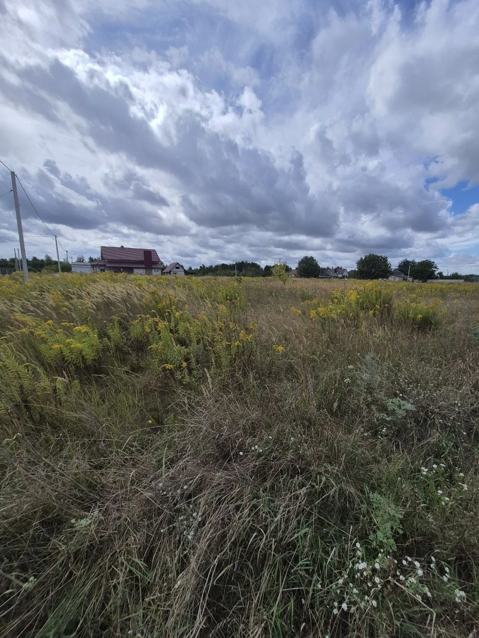 Land for Sale in Nebichka