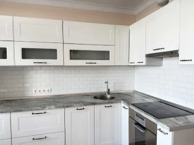 Apartment. Kyiv, Beresteyskyi Ave. (Poles)