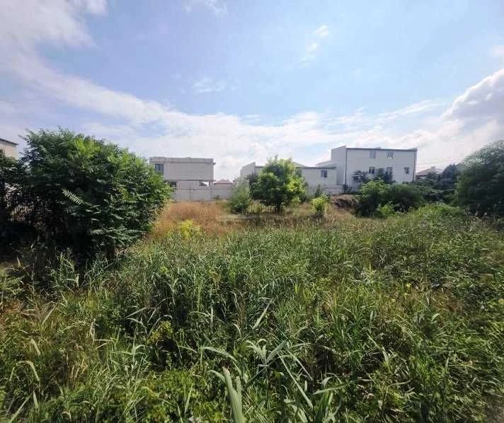 Ділянка в Києво-Поліському районі, 28 соток